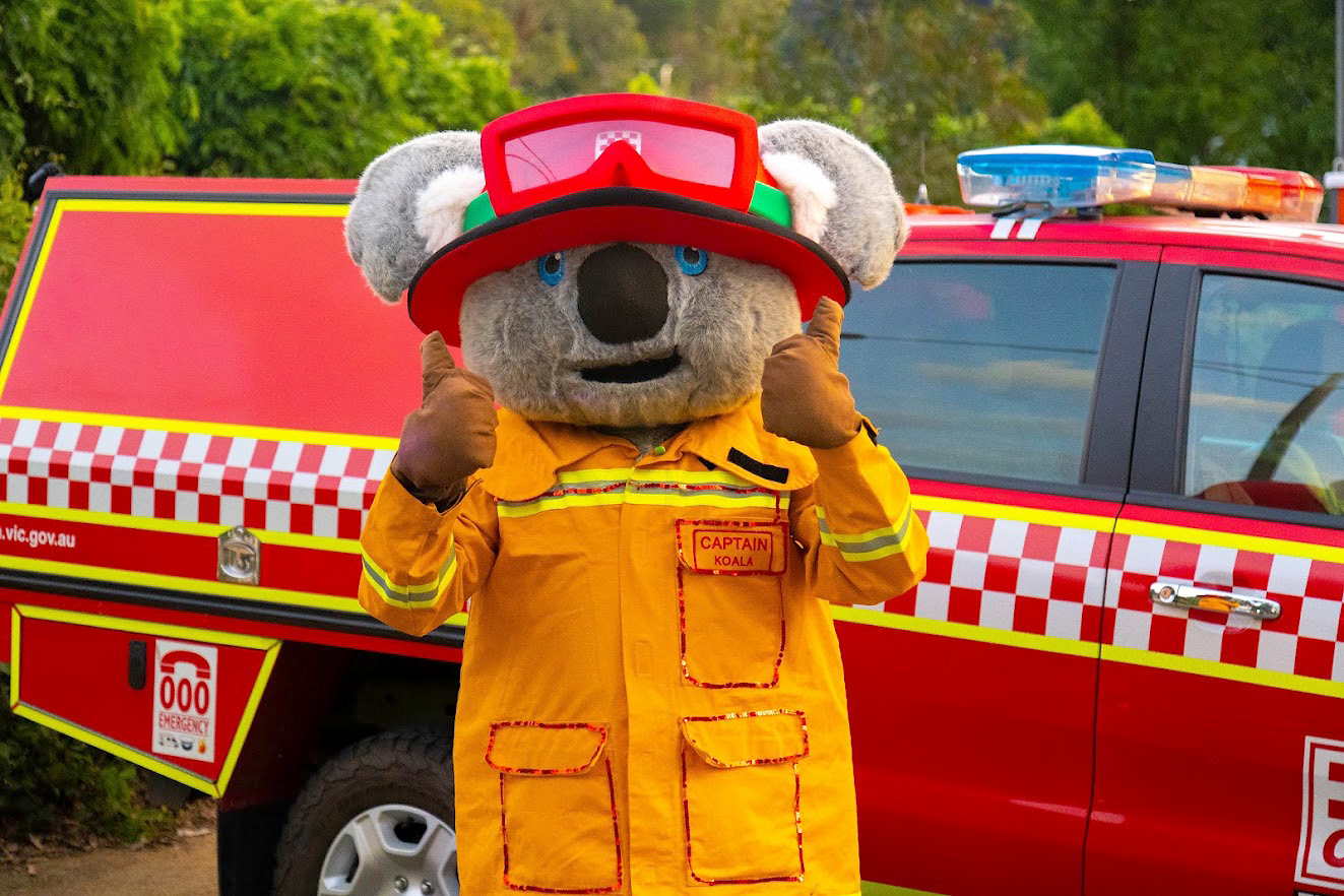 Captain Koala