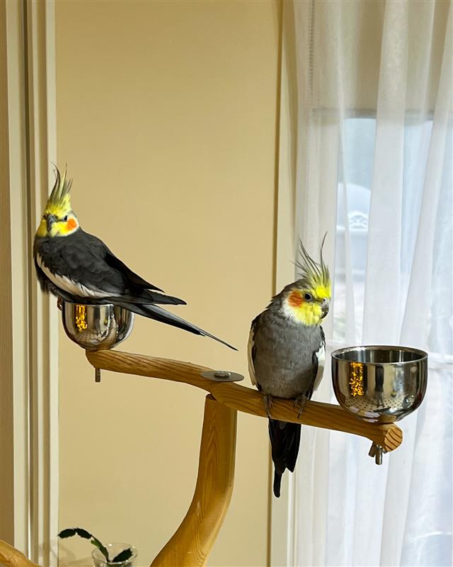 Member News image