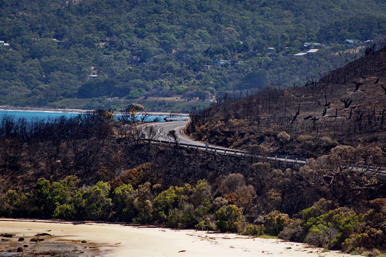 Image to display Image to display