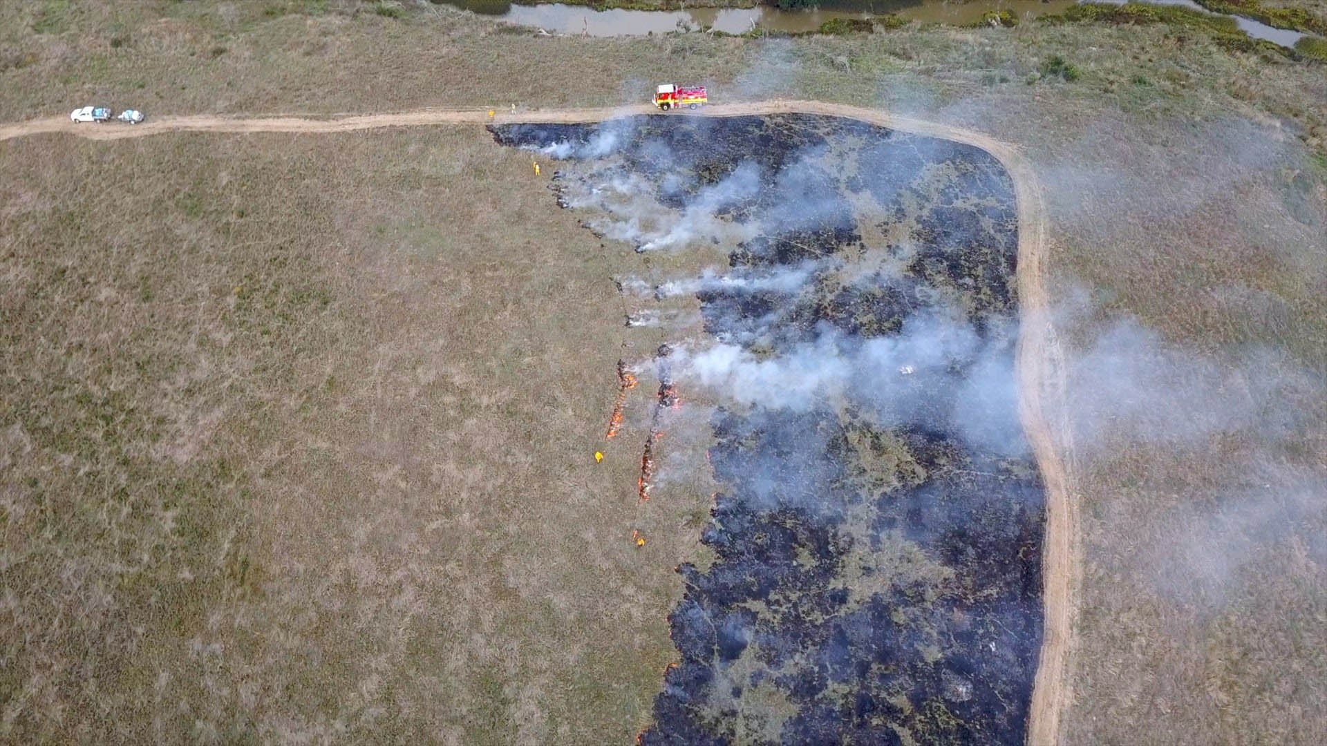 Image of ecological burn