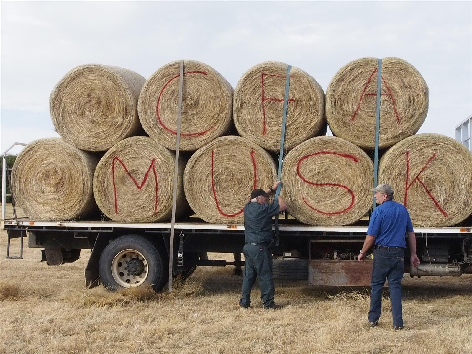Greg and Wayne Orr from Musk brigade donated their truck and time to transport the hay.