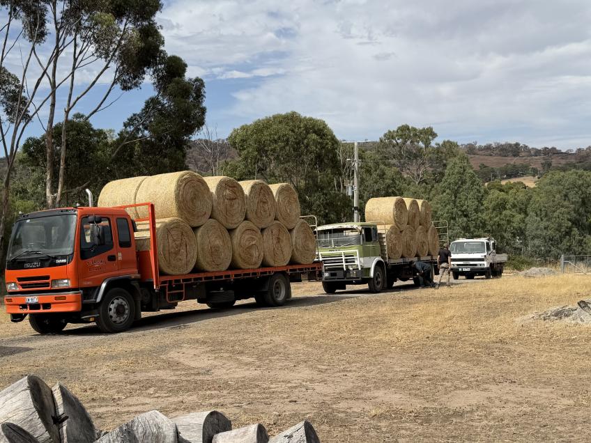 Musk brigade members transport the hay to a distribution centre in Ravenswood South.