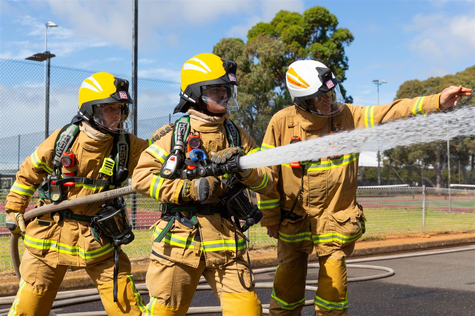 Image to display Image to display