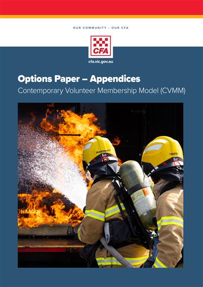 CVMM Document Appendices